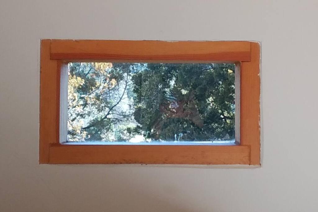 Buena Vista Lejlighed San Carlos de Bariloche Eksteriør billede